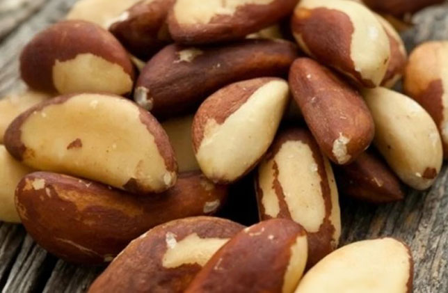 Exportación peruana de nuez de Brasil llegó a 16 mercados en mayo del presente año