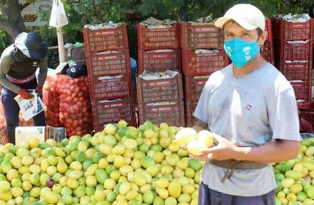 Maracuyá de Perú llegó a 16 mercados en mayo último, uno menos que en igual mes del año anterior
